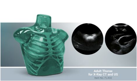 Erler-Zimmer Hungary