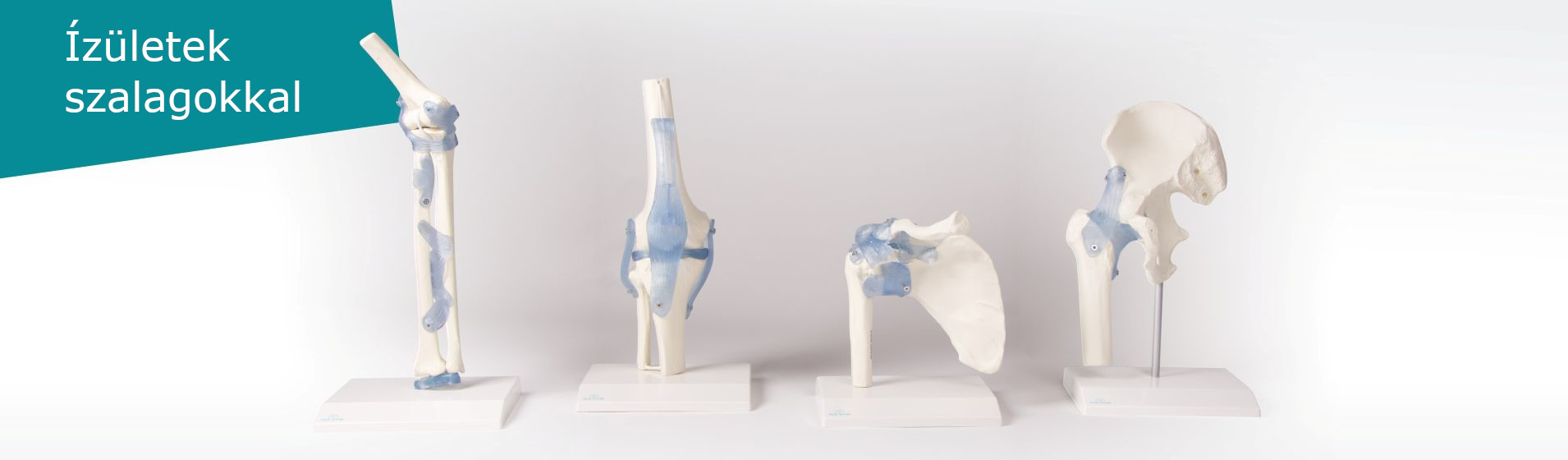 Erler-Zimmer Hungary