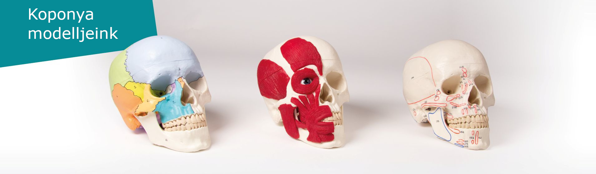 Erler-Zimmer Hungary