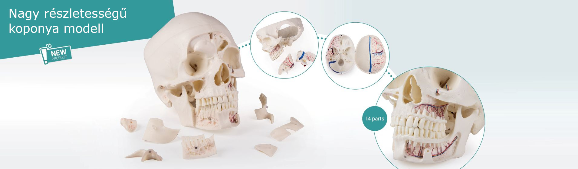 Erler-Zimmer Hungary