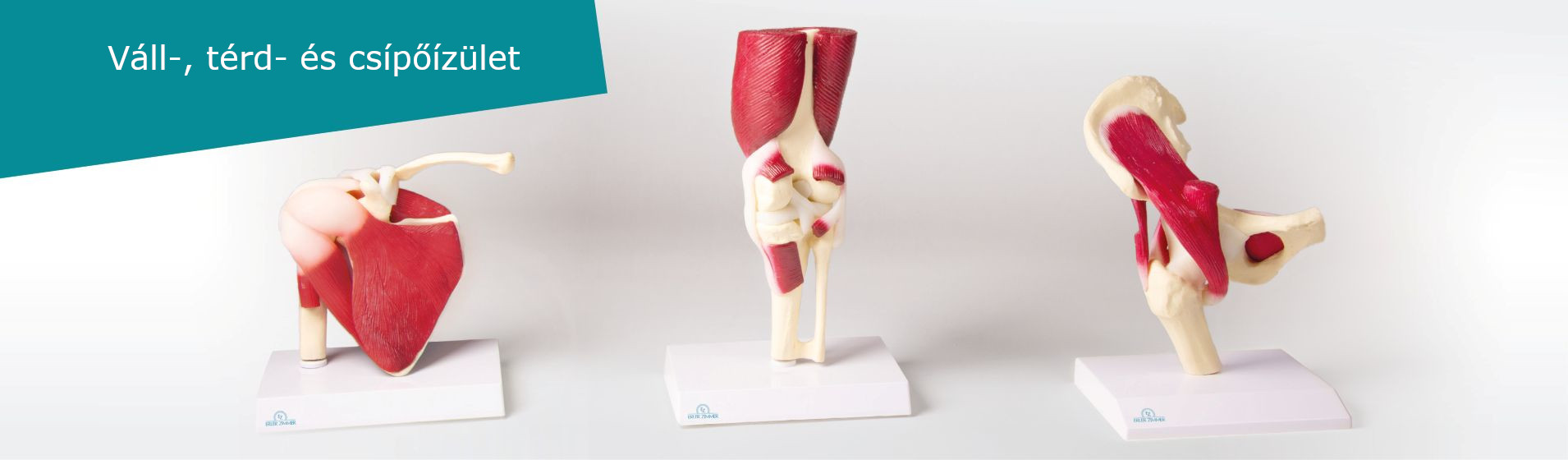 Erler-Zimmer Hungary