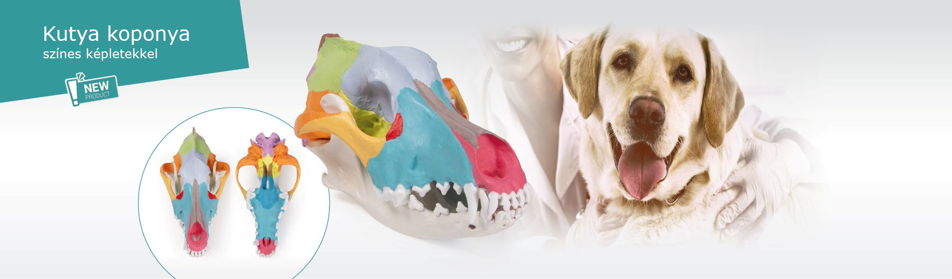 Erler-Zimmer Hungary