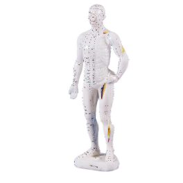Kínai akupunktúrás figura, férfi