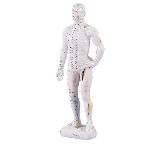 Kínai akupunktúrás figura, férfi