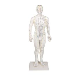 Kínai akupunktúrás figura, férfi