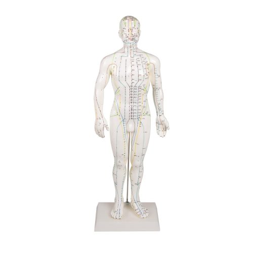 Kínai akupunktúrás figura, férfi