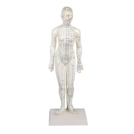 Kínai akupunktúrás figura, nő