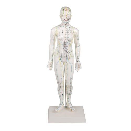 Kínai akupunktúrás figura, nő