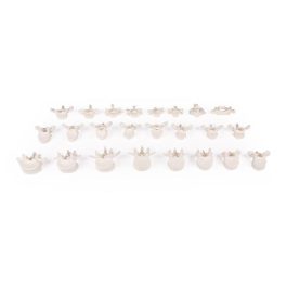 Csigolya laza a gumikon