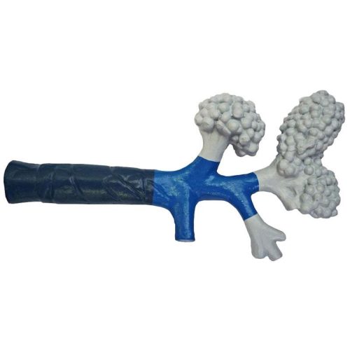 Bronchiolák