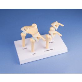 Lábizmok, 13 részes