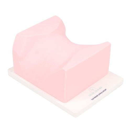 SonoEZ ultrahang tréner - pajzsmirigy
