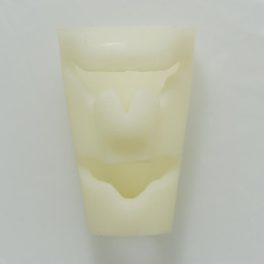 Cricothyroid porc