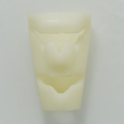 Cricothyroid porc