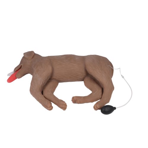 Kutya újraélesztési modell "CooPeR"