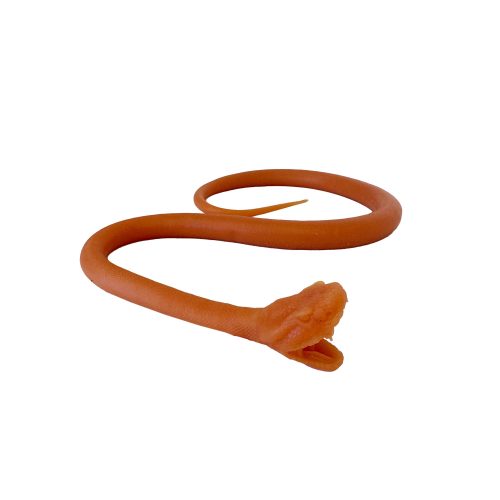 Kígyó endotracheális intubációja